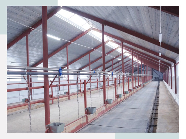 Строительство коровников в Саратове от 614 руб.