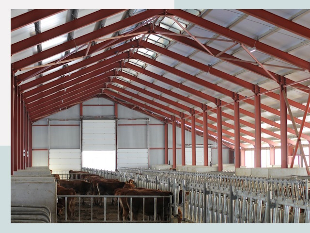 Строительство коровников в Саратове