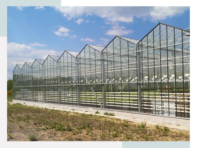 Строительство теплиц в Саратов от 614 руб. за м²