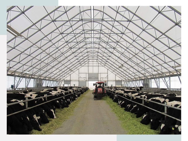 Тентовые коровники в Саратове от 614 руб. - Надежно и доступно